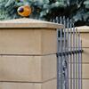 Plotová hlavica farba piesková povrch tryskaný - náhled č.11