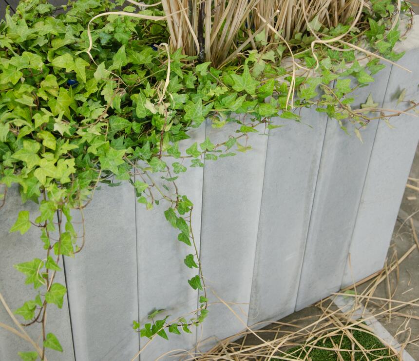 Betónové palisády obdĺžnikové hladké, farba natural - foto č.9