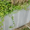 Betónové palisády obdĺžnikové hladké, farba natural - náhled č.9