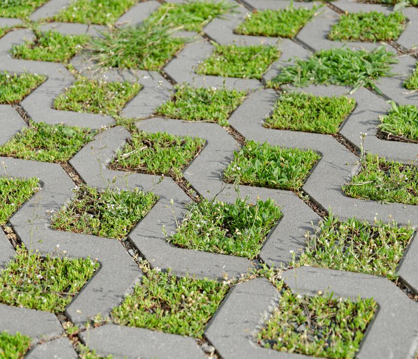 Zatrávňovacia dlažba ANDEZIT® farba natural - foto č.3