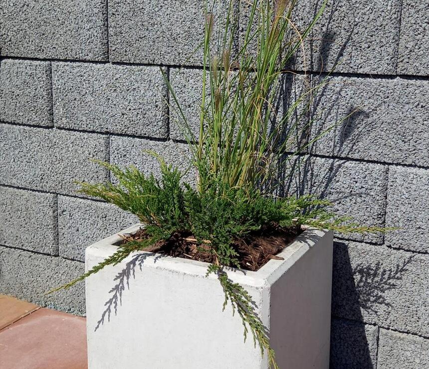 Betónový kvetináč Nela farba natural povrch hladký - foto č.10