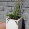 Betónový kvetináč Nela farba natural povrch hladký - náhled č.10