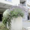 Kvetináč Linda farba natural povrch hladký - náhled č.3