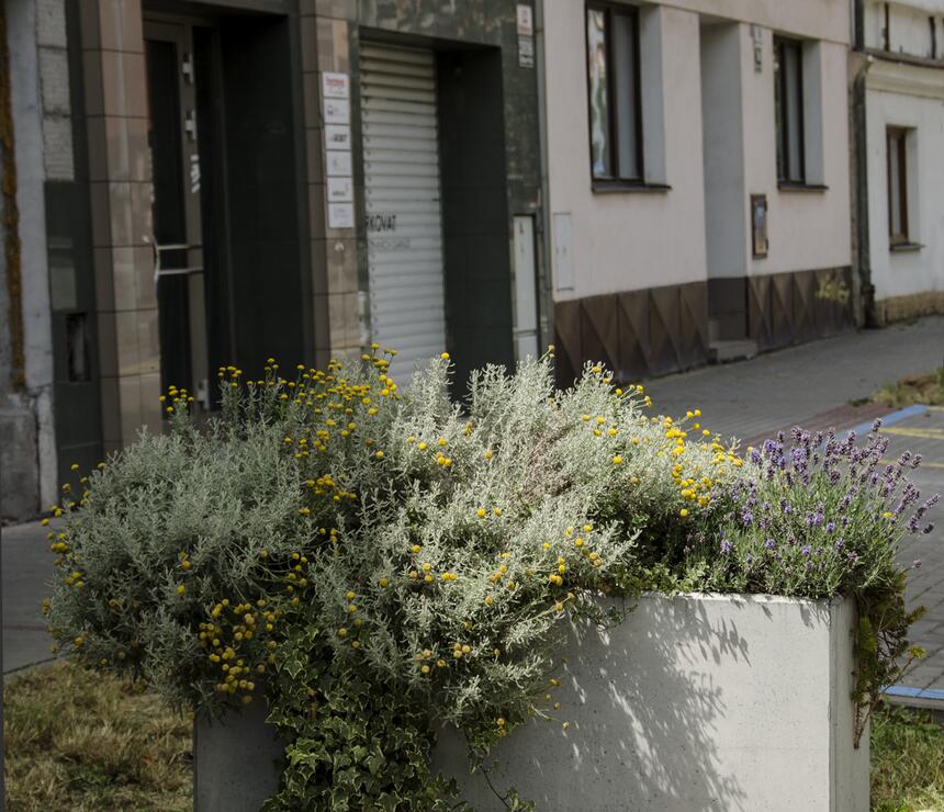 Kvetináč Linda farba natural povrch hladký - foto č.5