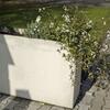 Kvetináč Linda farba natural povrch hladký - náhled č.6