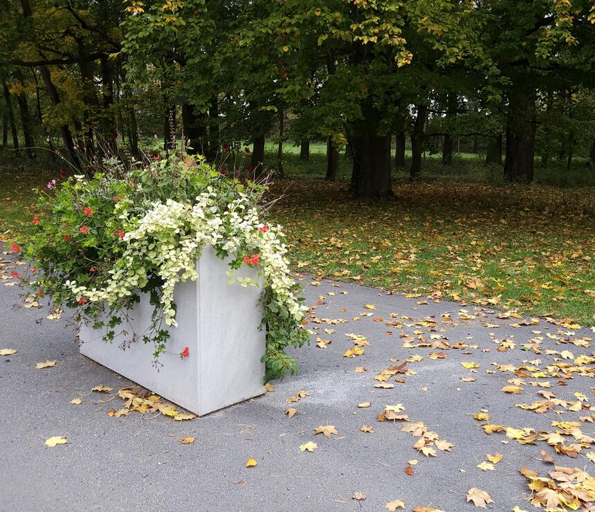Kvetináč Linda farba natural povrch hladký - foto č.10