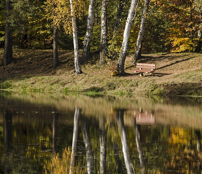 Betónová lavička B s dreveným sedákom a operadlom - foto č.6